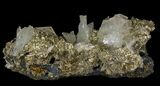 Blue Barite, Marcasite and Pyrite Association - Morocco #64386-5
